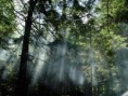 /album/amazonas/ima14-jpg/