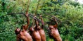 /album/amazonas/ima22-jpg/